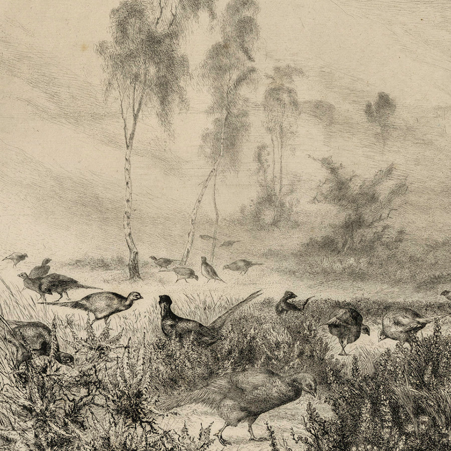 Félix BRACQUEMOND - Brumes du Matin - Etching, drypoint, and aquatint - 1882 -detail