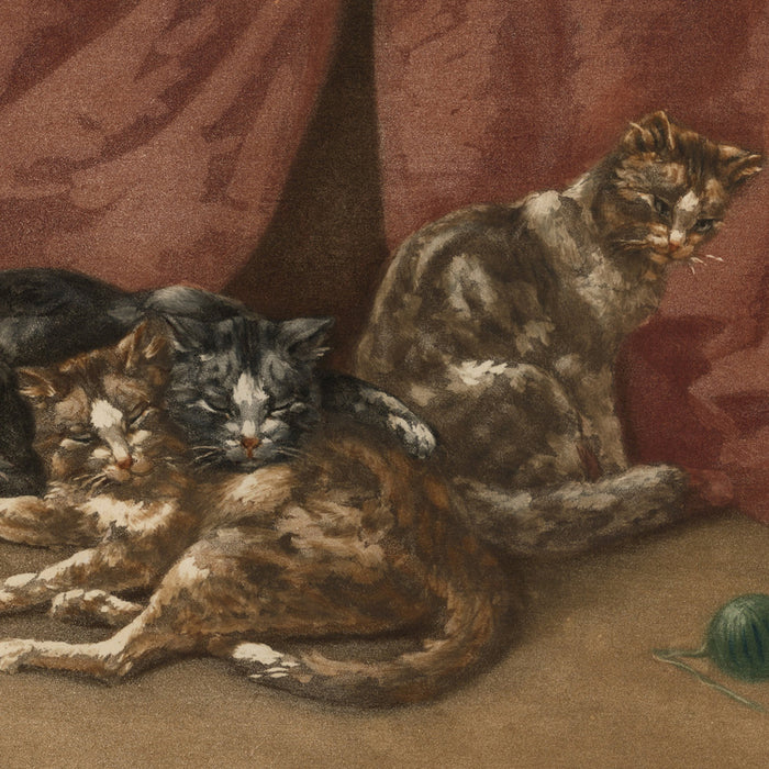 G ANGELVY - Cats Resting - Chat au Repos - color aquatint 1905 detail