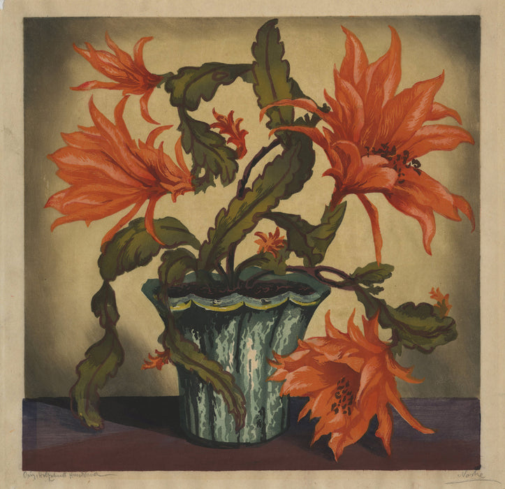 Hugo Noske - Flowering Orange Easter Cactus - main 