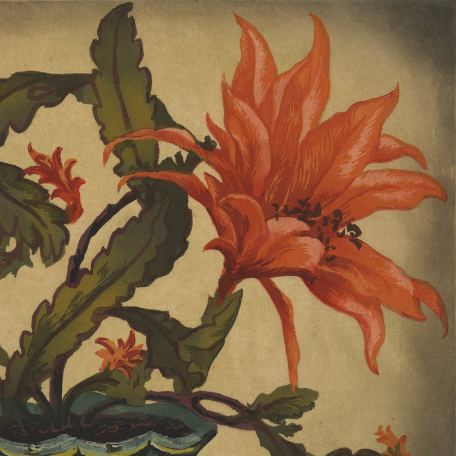 Hugo NOSKE - Flowering Orange Easter Cactus - Color woodcut detail