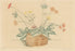Morin-Jean - Panier de Fleurs - Flower Basket - drypoint