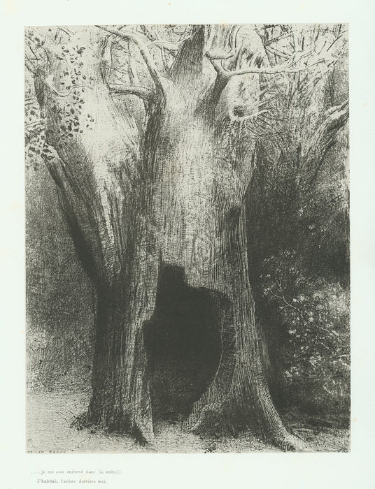 Odilon Redon - … I sunk into solitude.  I lived in the Tree behind Me. - main 