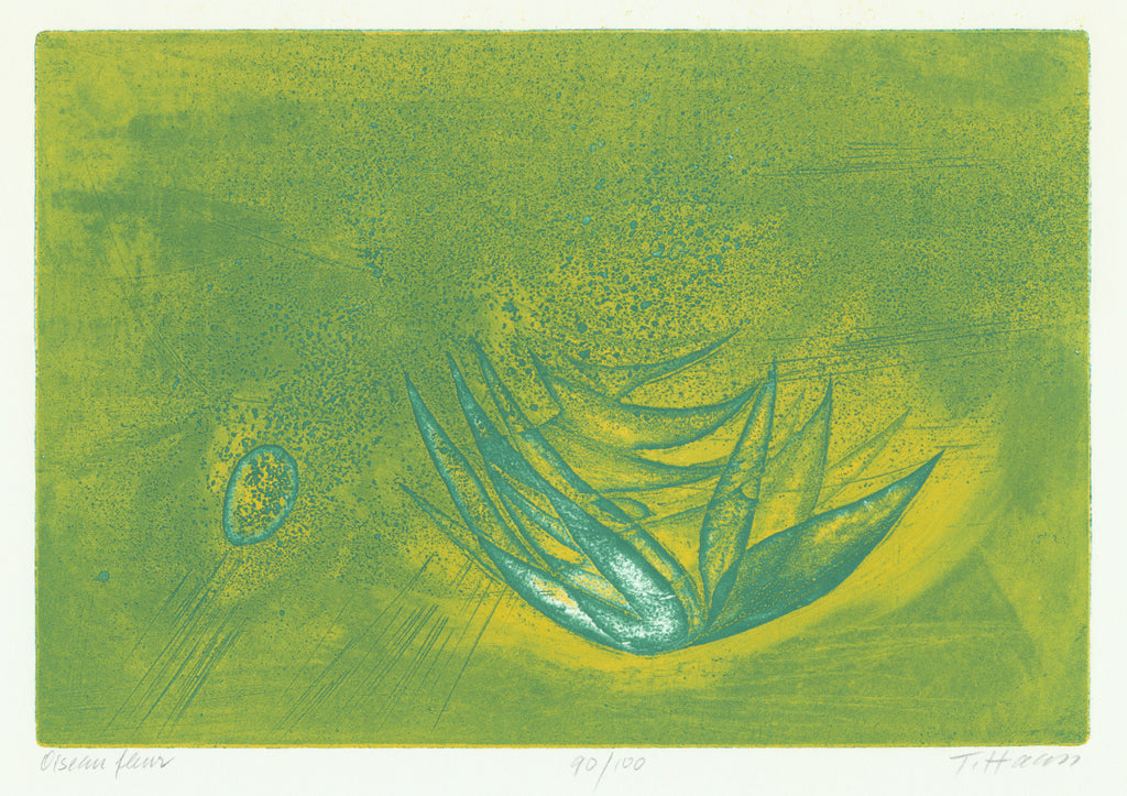 Terry Haass - Oiseau Fleur - color aquatint viscosity print - flower bird