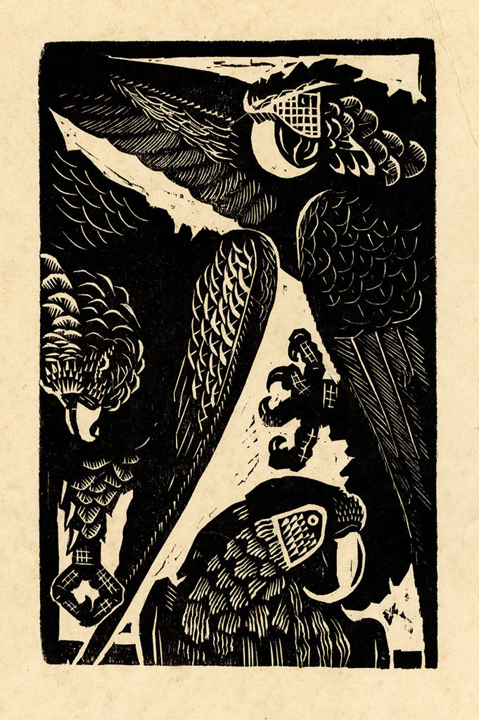 Victor DELHEZ (1901-1985): Parrots, Papegaaien, Perroquets