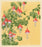 Fuchsia Branches