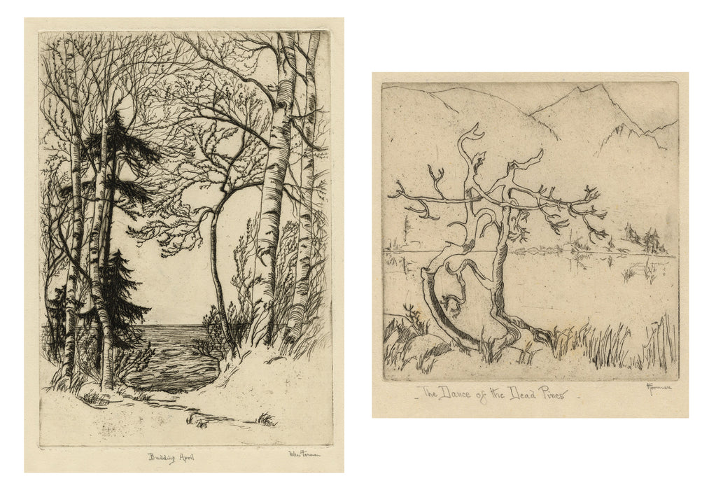 Helen Forman - A Pair of Prints - Budding April and Dance of the Dead Pines - main 