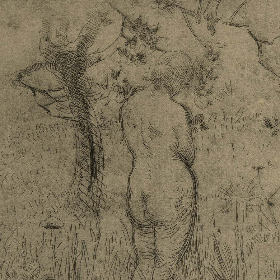 Albert BESNARD - Eve de Dos devant le Pommier - Etching - 1892 - detail