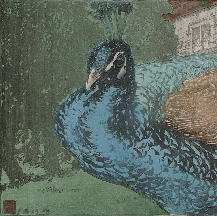 Allen W. Seaby - Peacock - water based mokuhanga woodblock print or woodcut - detail