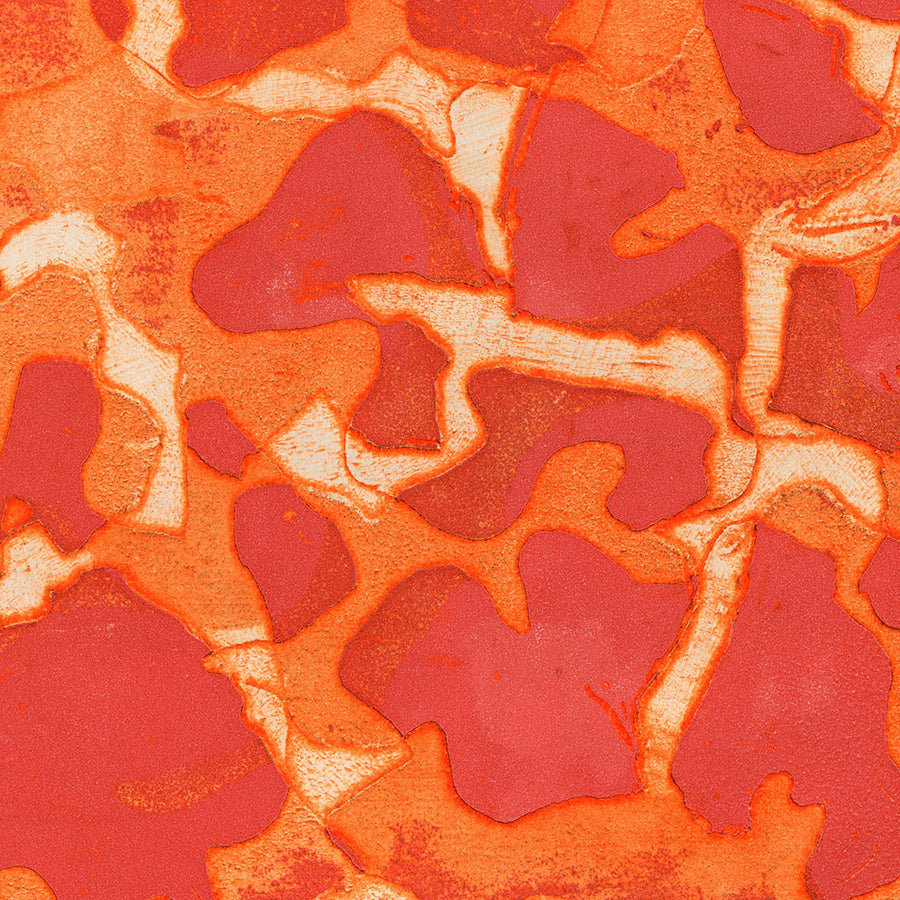 Anju CHAUDHURI - Soit Heureux - Simultaneous color printing intaglio - detail