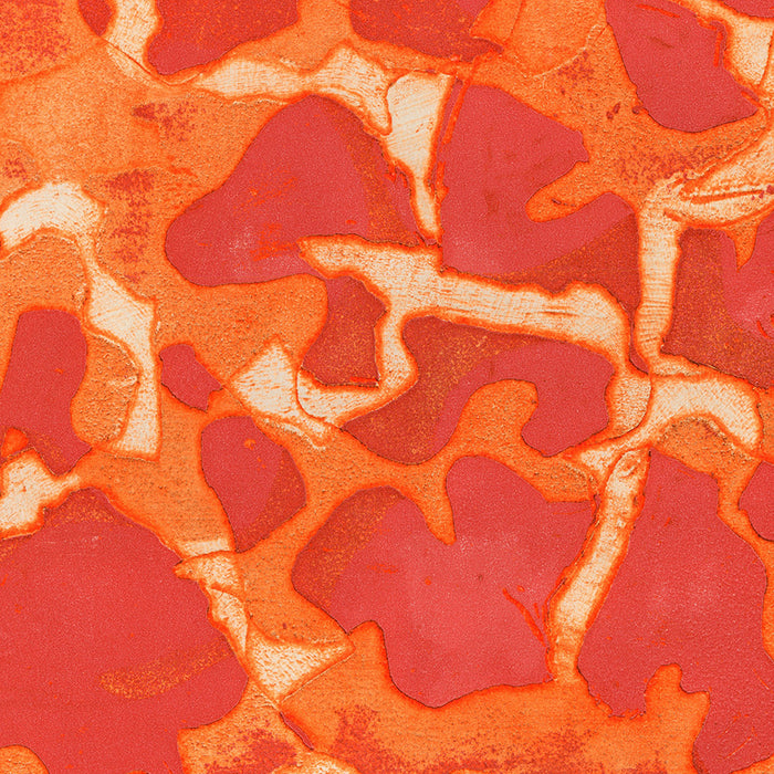 Anju CHAUDHURI - Soit Heureux - Simultaneous color printing intaglio - detail