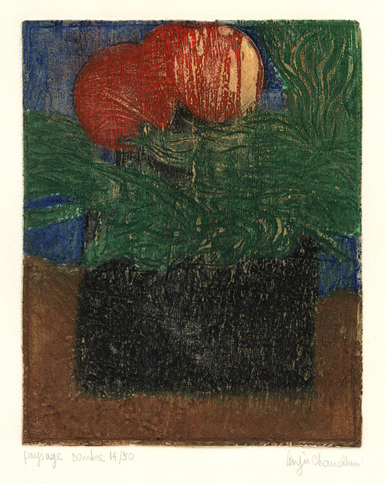 Anju Chaudhuri - Paysage Sombre - main 