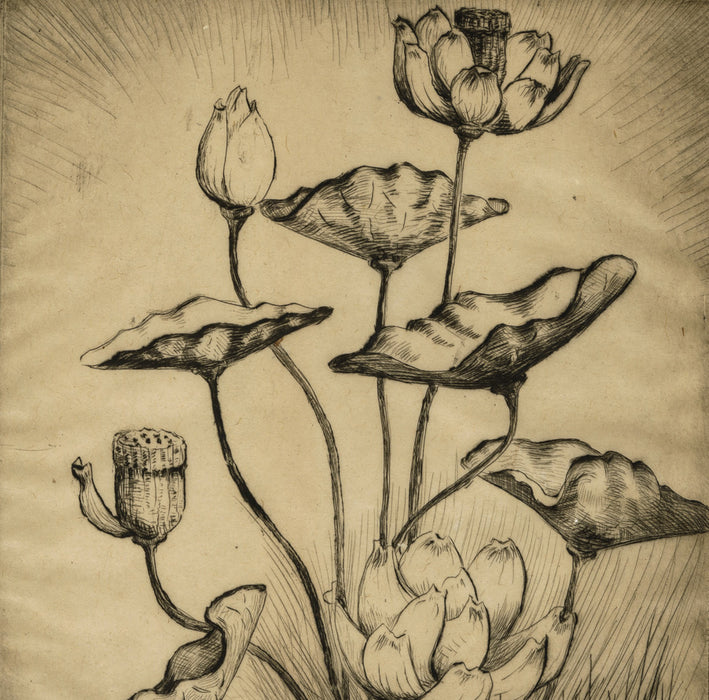 Bertha JAQUES - Lotus - Etching and drypoint - 1928 - detail