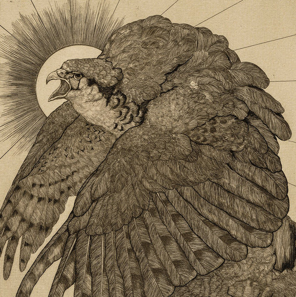 Charles MAURICE - Edward Julius DETMOLD - The Falcon - Etching