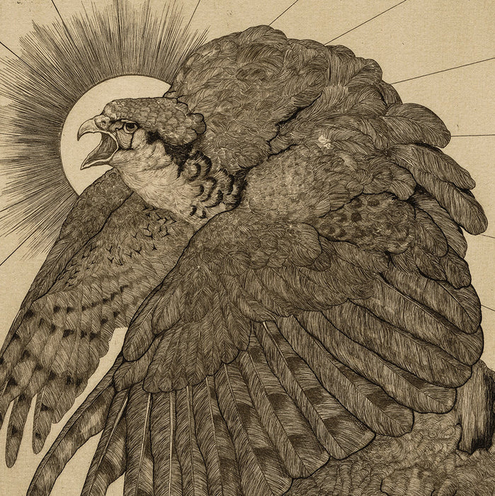 Etching - by DETMOLD, Edward Julius - titled: The Falcon