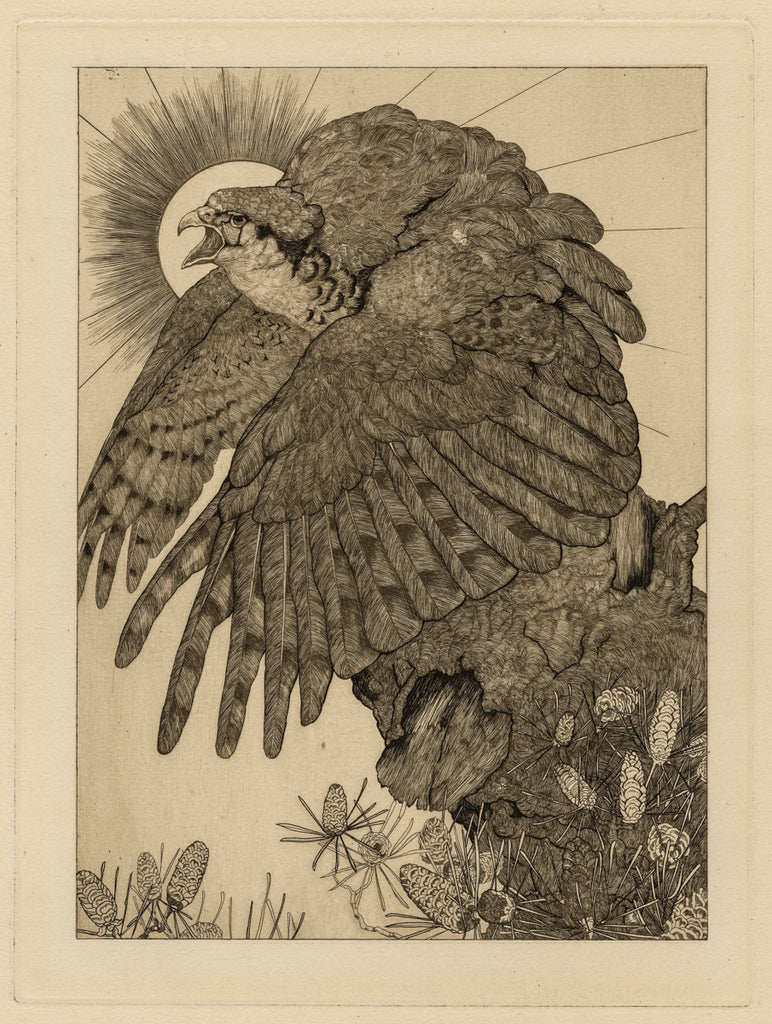 Charles MAURICE - Edward Julius DETMOLD - The Falcon - Etching - 1904 ...