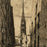 Charles MERYON - Rue des Chantres - View of Notre Dame - detail