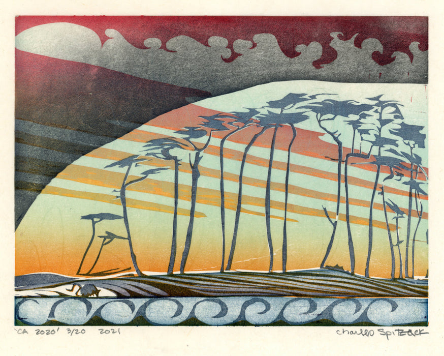 Charles Spitzack - CA 2020 - main 