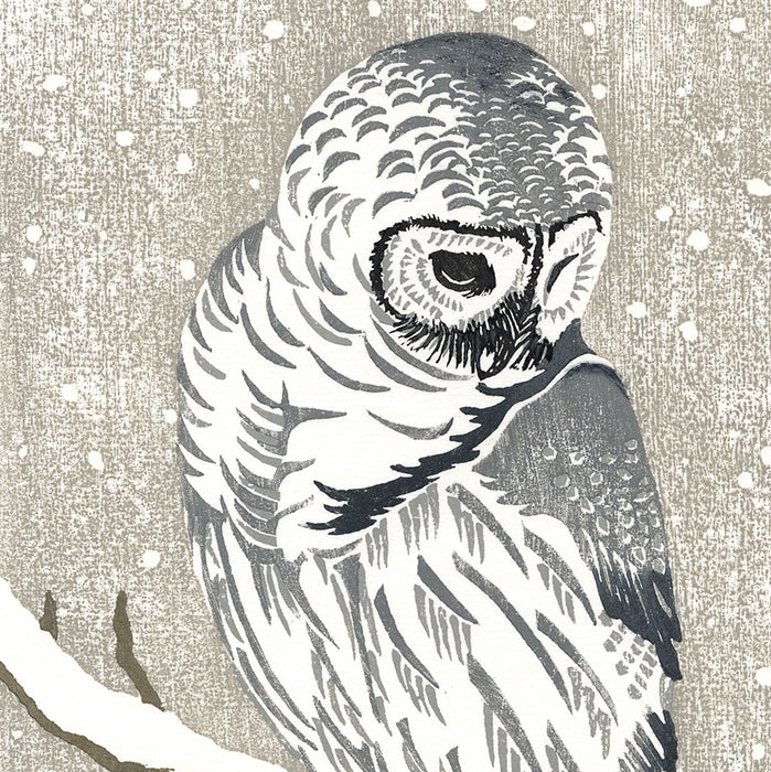 Diane SANDALL - The Shy Owl - Four color woodblock - 2017 - detail