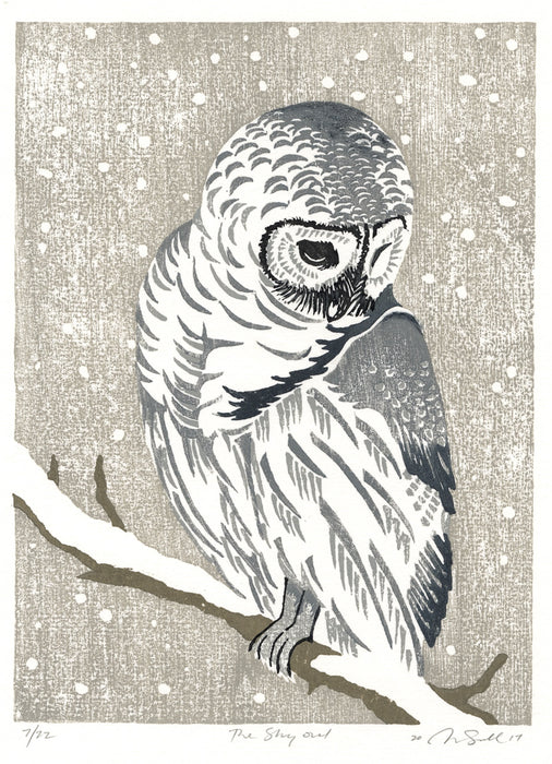 Diane Sandall - The Shy Owl - main 