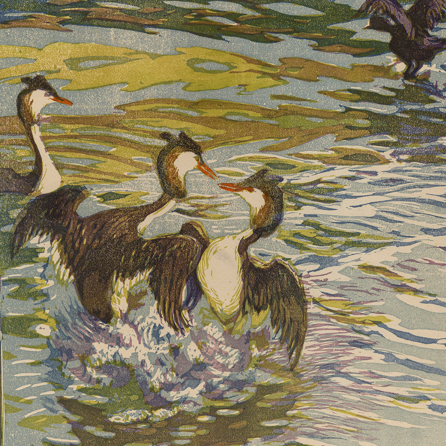 Emil POTTNER - Cormorants - Color woodcut - detail