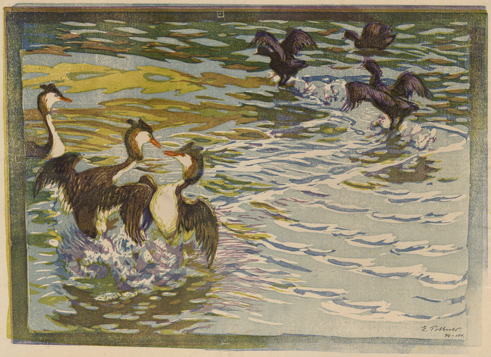 Emil Pottner - Cormorants - main 