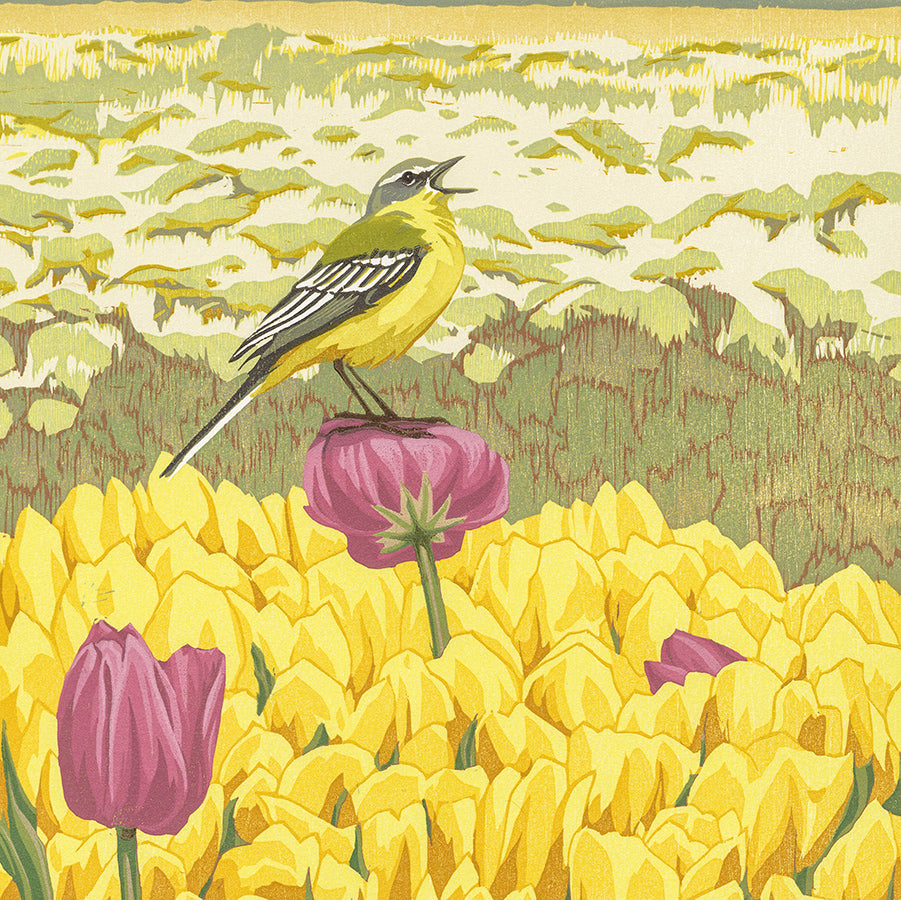 Erik VAN OMMEN - Gele kwikstaart - Yellow Wagtail - Color woodcut reduction - detail
