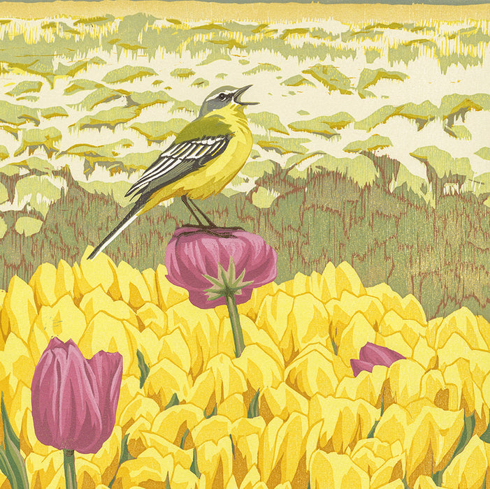 Erik VAN OMMEN - Gele kwikstaart - Yellow Wagtail - Color woodcut reduction - detail