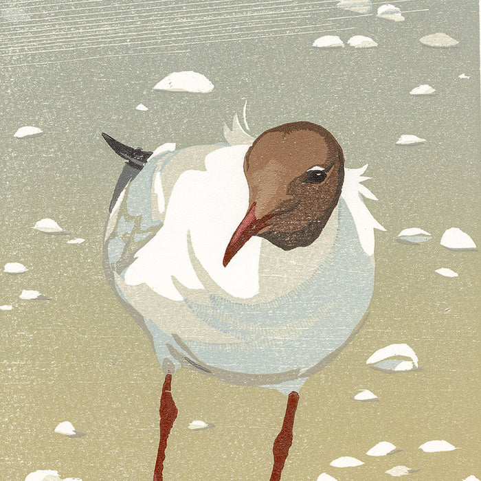 Erik VAN OMMEN - Kokmeeuw in de Wind - Black-headed Gull in the Wind - Color woodcut reduction - detail