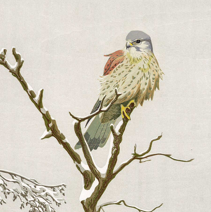 Erik VAN OMMEN - Torenval - Kestrel - Color woodcut reduction - detail