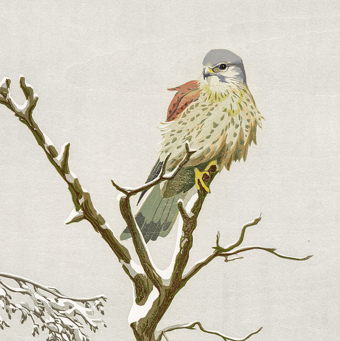 Erik VAN OMMEN - Torenval - Kestrel - Color woodcut reduction - detail