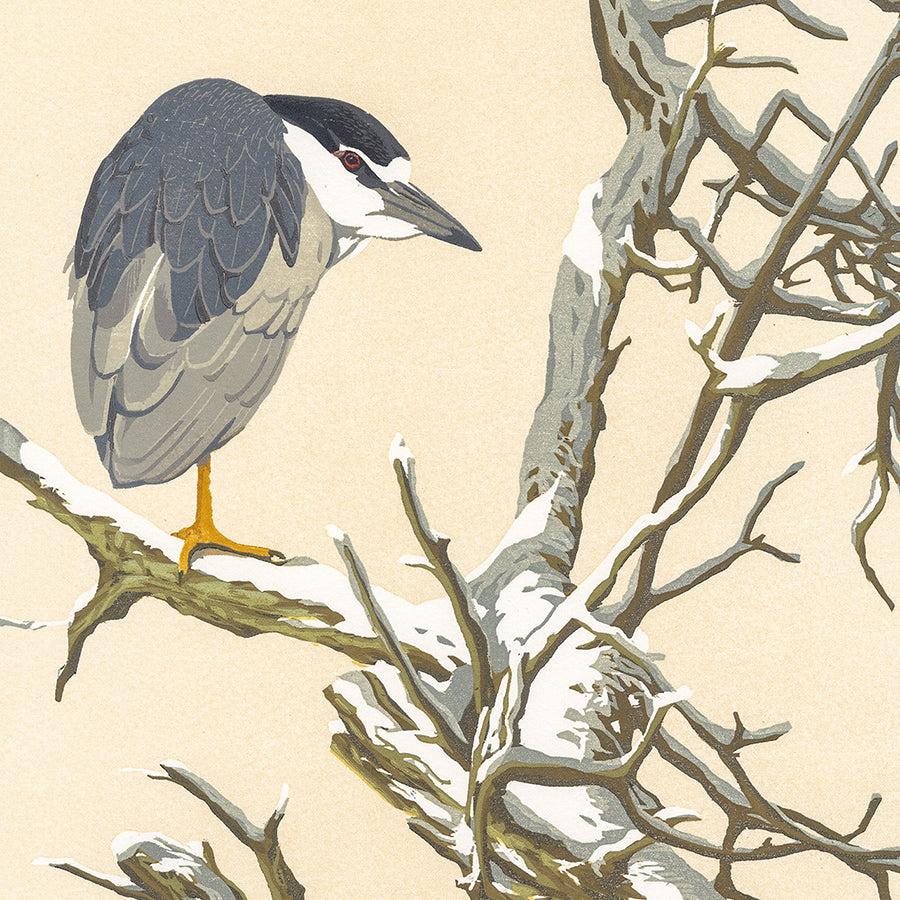 Erik VAN OMMEN - Winterzon-Nachtreiger - Winter Sun Night Heron - Color woodcut reduction - detail