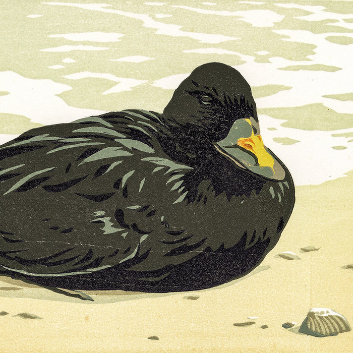 Color woodcut - by VAN OMMEN, Erik - titled: Black-headed Gull in the Wind