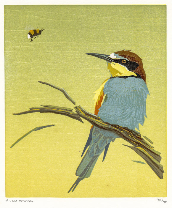 Erik Van ommen - Bee-eater with Bee - main 