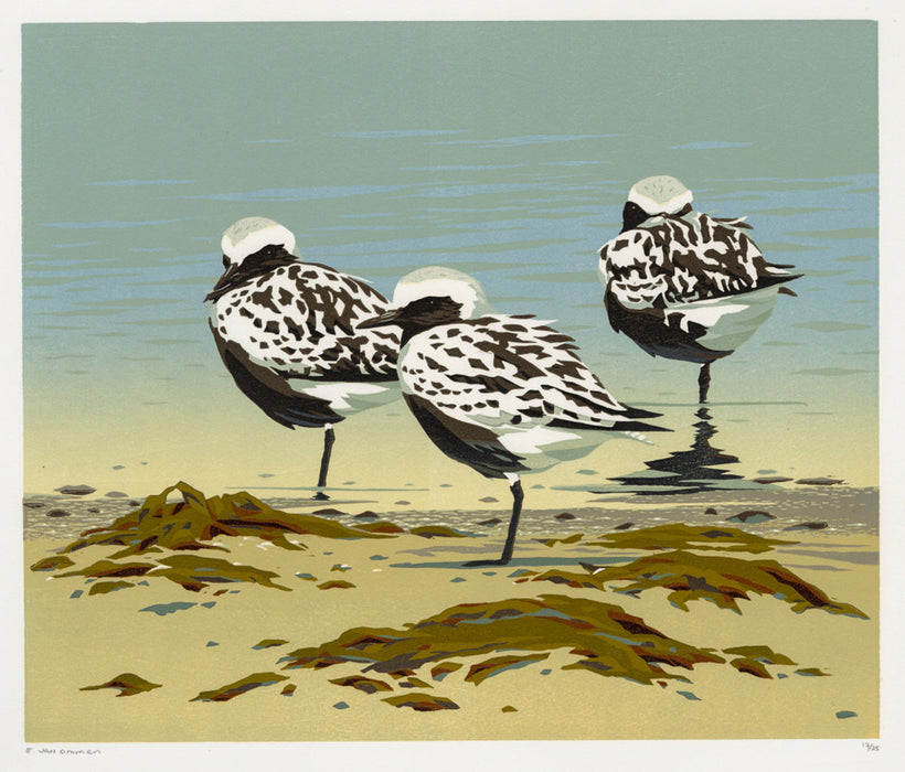 Color woodcut reduction - by VAN OMMEN, Erik - titled: Gray Plovers