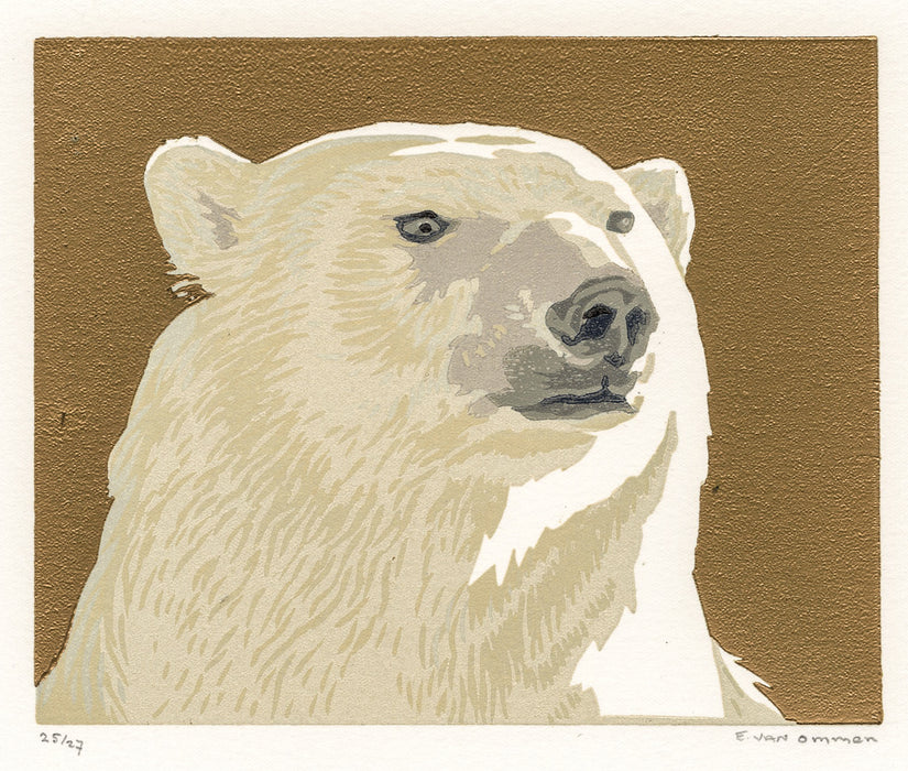 Erik Van ommen - Polar Bear - main 