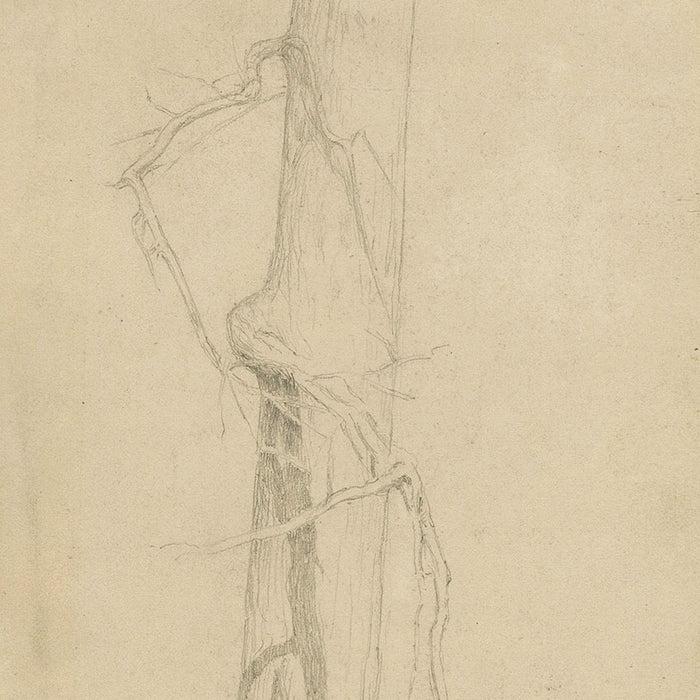 Graphite drawing - by HASKELL, Ernest - titled: Tree Study, Nanuet, NY
