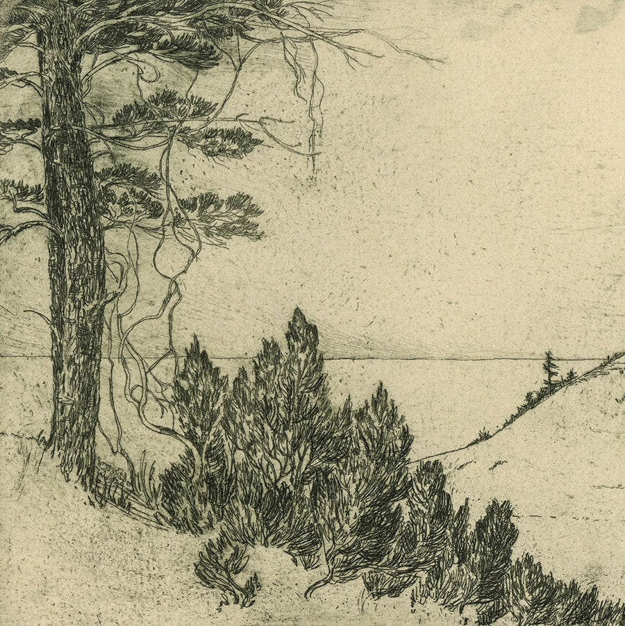 Helen Forman - In Duneland and East of Tremont - Etching - detail