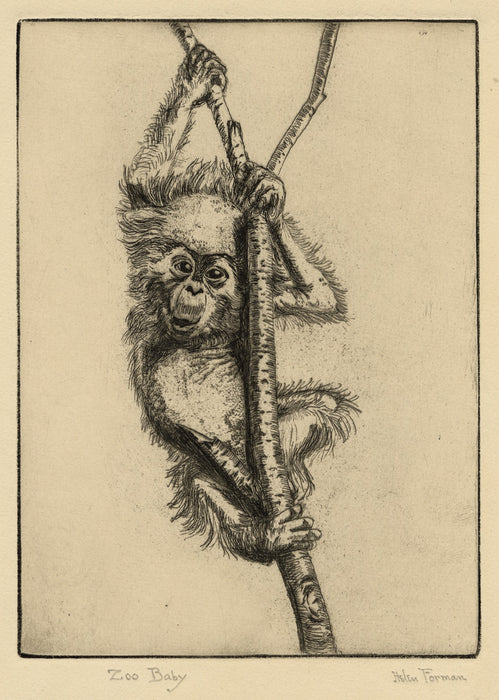 Helen Forman - A Masquerader & Zoo Baby - Etching
