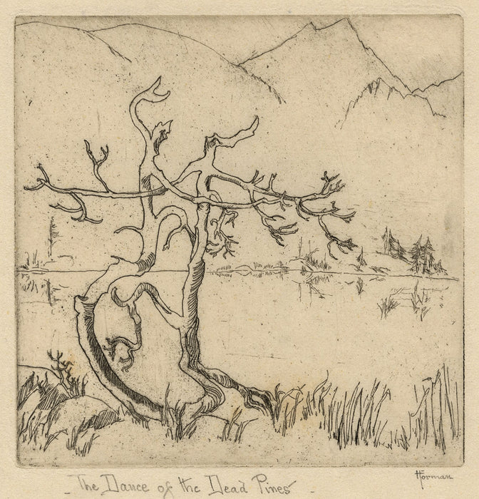 Helen Forman - Dance of the Dead Pines - Etching 
