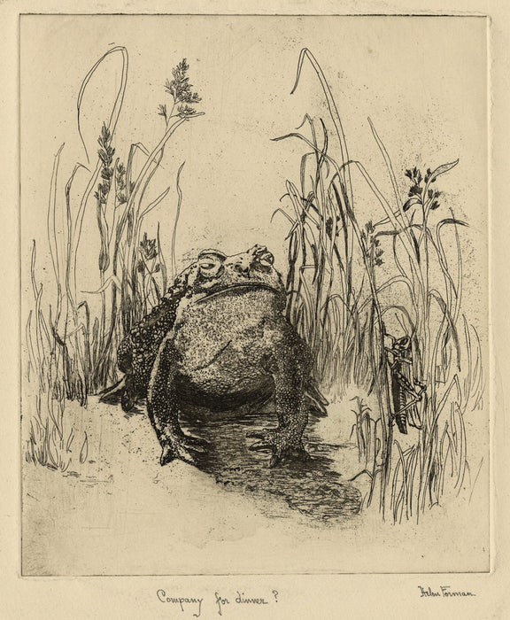 Helen Forman - Company for Dinner and Mother Mallard and Family