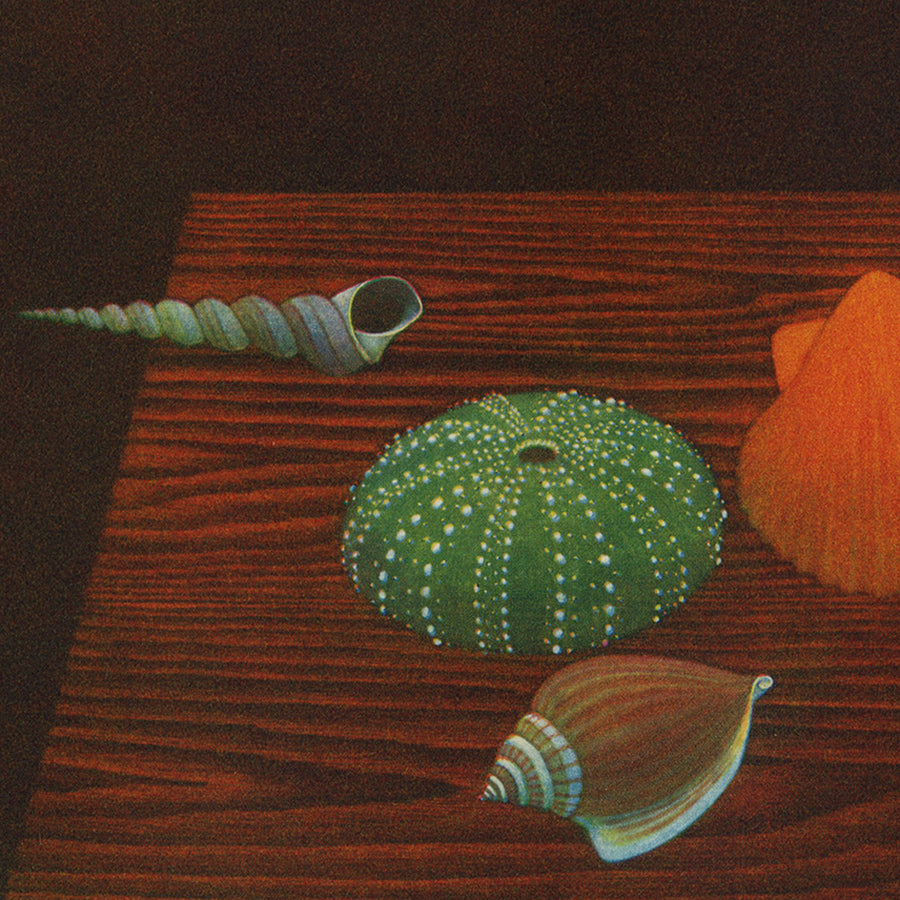 Joop Vegter - From the Sea - Dutch color mezzotint - detail