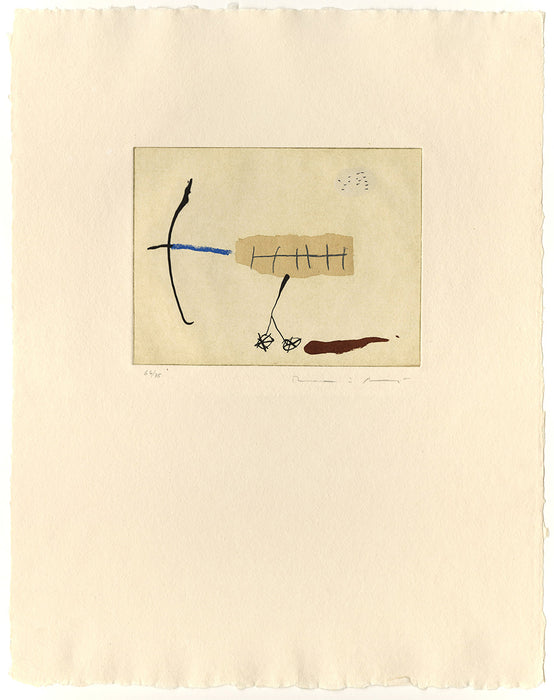 Josep Riera i aragó - Avio Petit 4 - main 