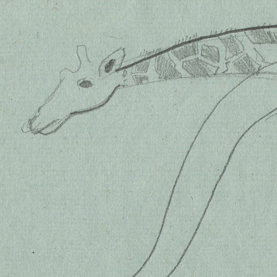 Joseph HECHT - Giraffe - Pencil drawing - 1929 - detail
