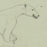 Joseph HECHT - Ours Blanc - Pencil drawing - 1929 - detail