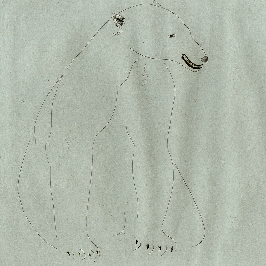 Joseph Hecht - Animaux Series - Ours Blanc - White Polar Bear - detail