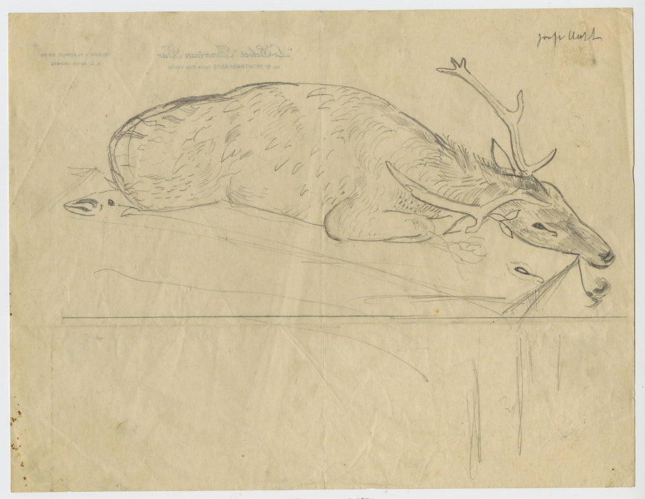 Joseph Hecht - Cerf Mourant - Menu du 17 mars 1928 - main 