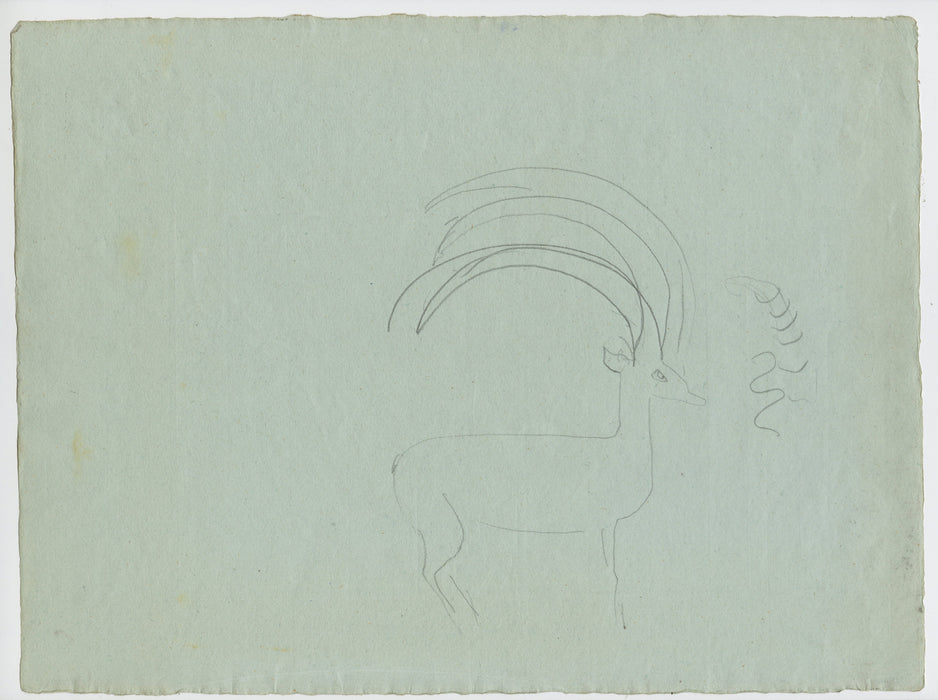 Joseph HECHT - Girafe - verso -pencil drawing - 1929 full sheet (T)