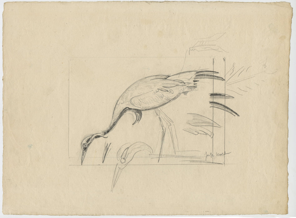 Joseph HECHT - Grue Cendree - Pencil drawing - 1929 full sheet (T)
