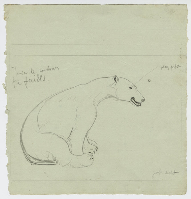 Joseph HECHT - Ours Blanc - Pencil drawing - 1929 full sheet (T)