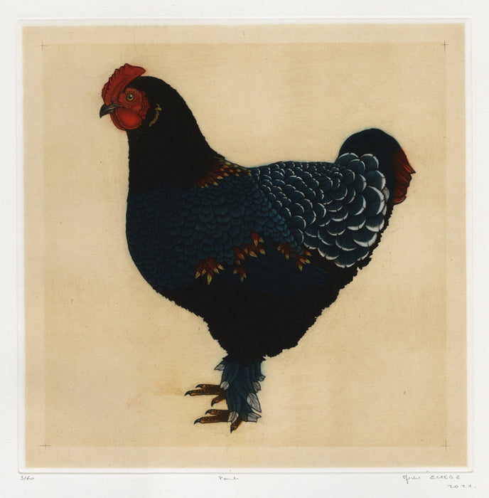 Michel Estebe - Hen - main 